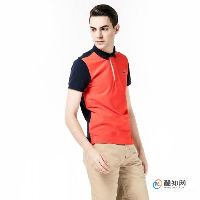 ���ѡ��polo��?polo��ʲô���Ӻ�?����